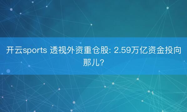 开云sports 透视外资重仓股: 2.59万亿资金投向那儿?