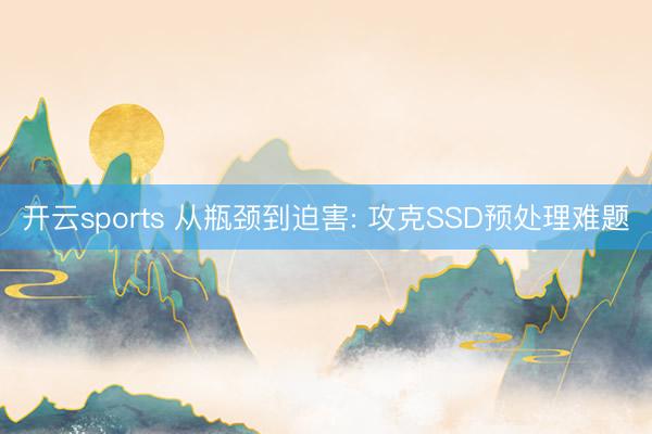 开云sports 从瓶颈到迫害: 攻克SSD预处理难题