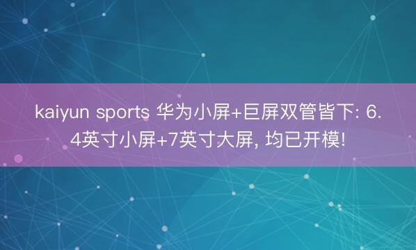 kaiyun sports 华为小屏+巨屏双管皆下: 6.4英寸小屏+7英寸大屏， 均已开模!