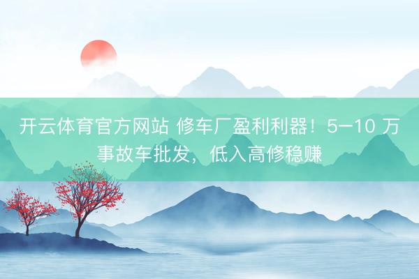开云体育官方网站 修车厂盈利利器！5–10 万事故车批发，低入高修稳赚