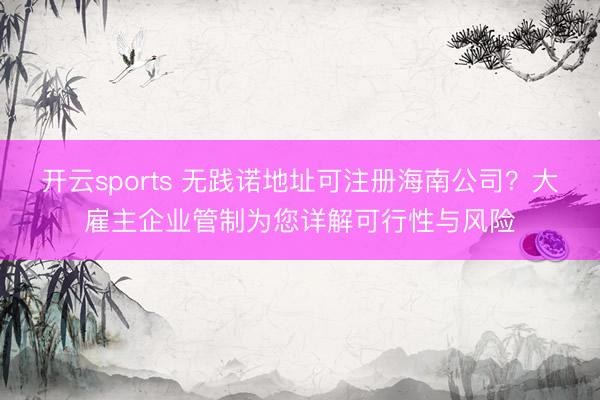 开云sports 无践诺地址可注册海南公司？大雇主企业管制为您详解可行性与风险