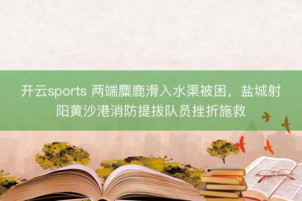 开云sports 两端麋鹿滑入水渠被困，盐城射阳黄沙港消防提拔队员挫折施救