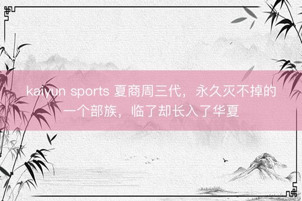 kaiyun sports 夏商周三代,永久灭不掉的一个部族,临了却长入了华夏