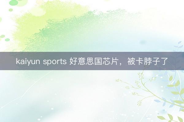 kaiyun sports 好意思国芯片，被卡脖子了