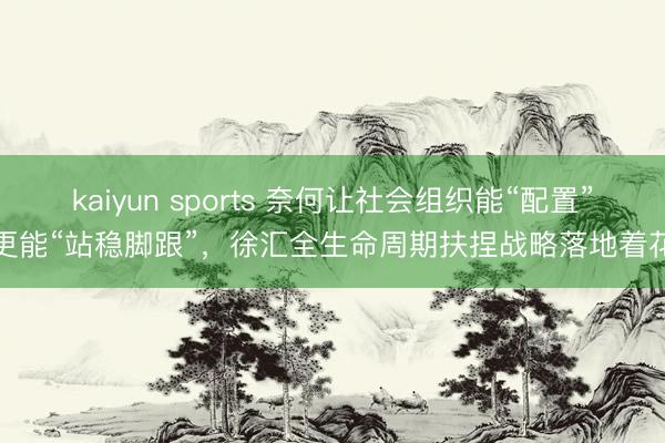 kaiyun sports 奈何让社会组织能“配置”更能“站稳脚跟”,徐汇全生命周期扶捏战略落地着花